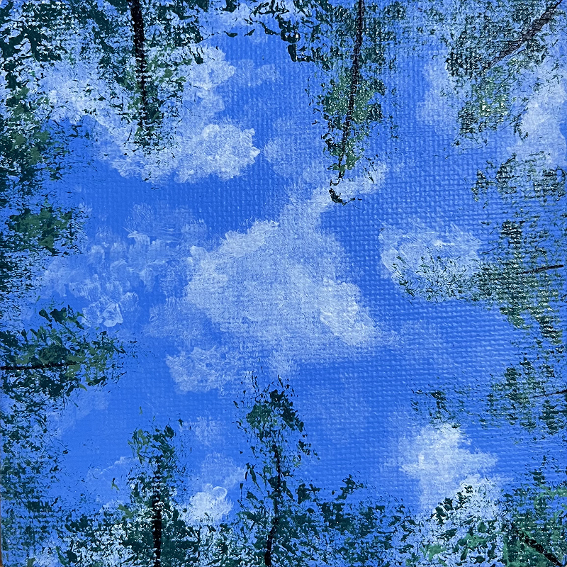 Look Up